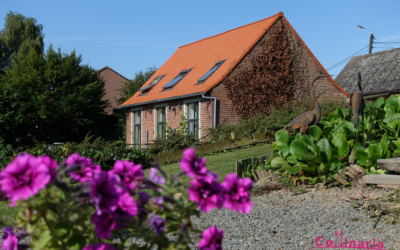 B&B Au Mont des Collines